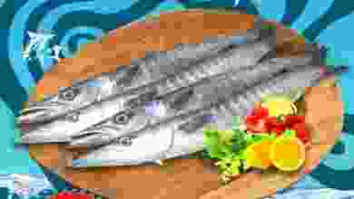 el3rod.com00001-266