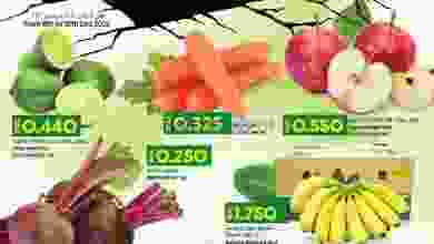 el3rod.com00001-338