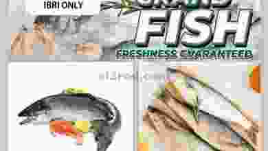 el3rod.com00001-382