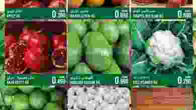 el3rod.com00001-388