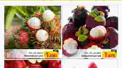 el3rod.com00001-389