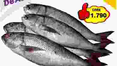 el3rod.com00001-404
