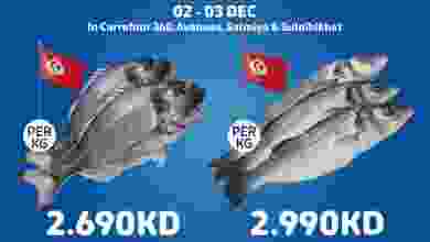 el3rod.com00001-41