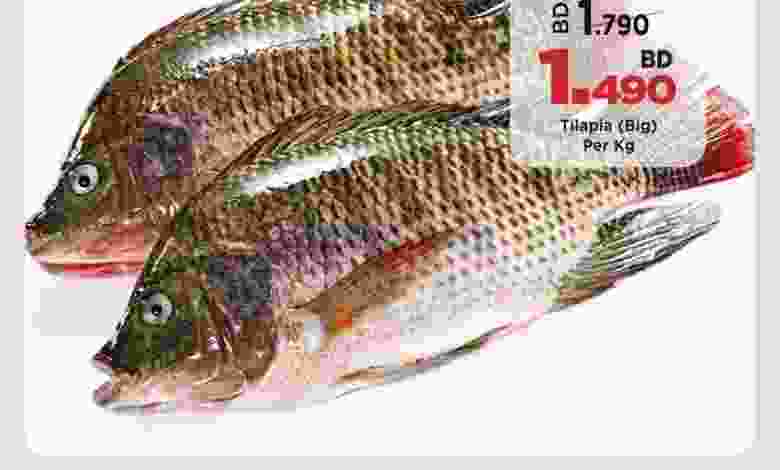 el3rod.com00001-412