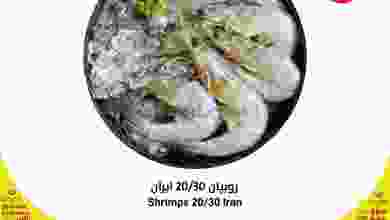 el3rod.com00001-423