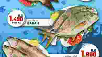 el3rod.com00001-461
