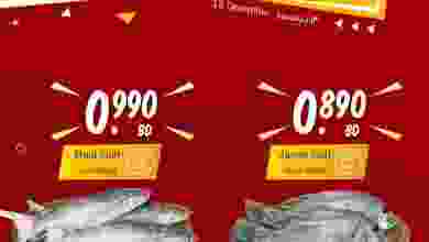 el3rod.com00001-470