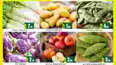 el3rod.com00001-479