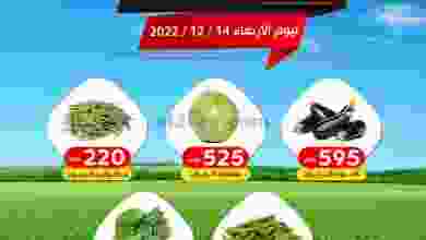 el3rod.com00001-509
