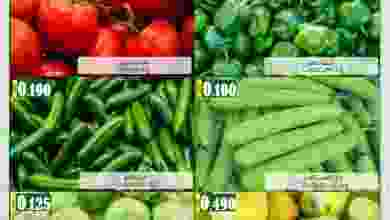el3rod.com00001-572