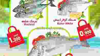 el3rod.com00001-575