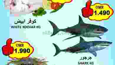 el3rod.com00001-579