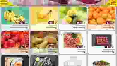 el3rod.com00001-669