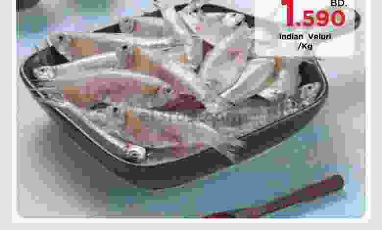 el3rod.com00001-782