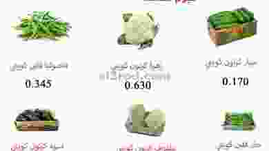 el3rod.com00001-787