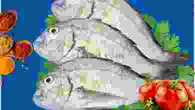 el3rod.com00001-805