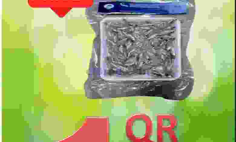 el3rod.com00001-852