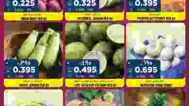 el3rod.com00001-861