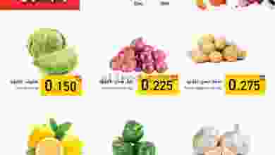 el3rod.com00001-873
