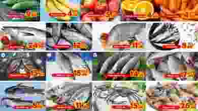 el3rod.com00002-1000