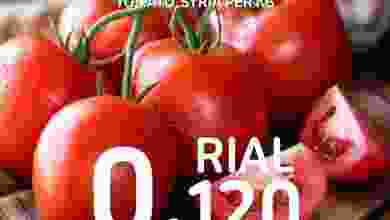 el3rod.com00002-169