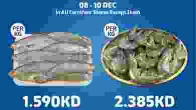 el3rod.com00002-242