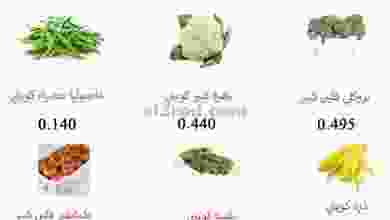 el3rod.com00004-257