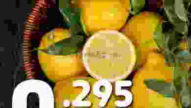 el3rod.com00005-423