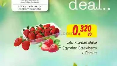 el3rod.com00001-1184