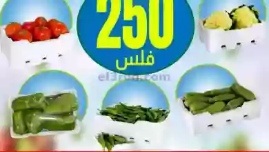 el3rod.com00001-1321