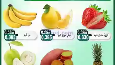 el3rod.com00001-1437