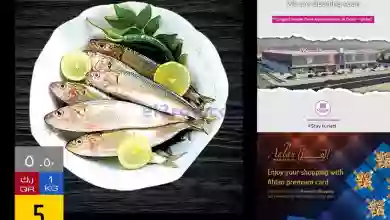 el3rod.com00001-1536