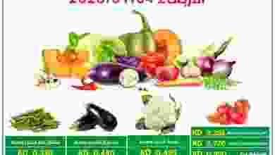 el3rod.com00001-157