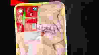 el3rod.com00001-295