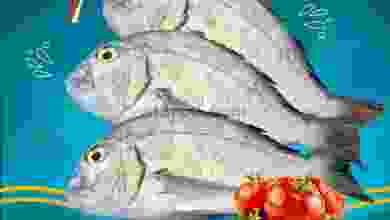 el3rod.com00001-308