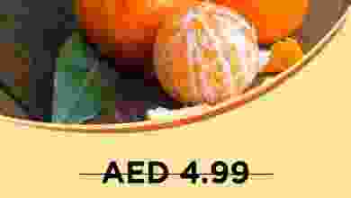 el3rod.com00001-316