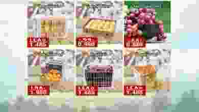 el3rod.com00001-344