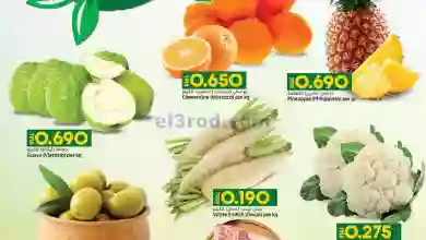 el3rod.com00001-355