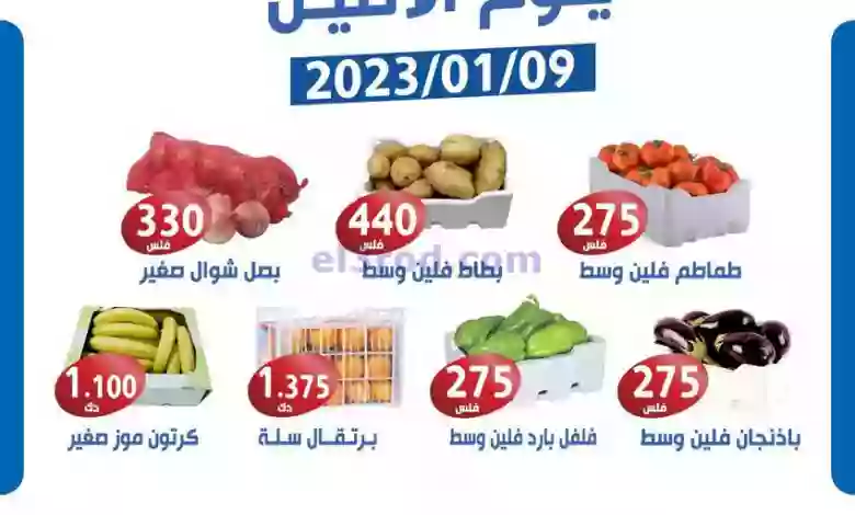 el3rod.com00001-378