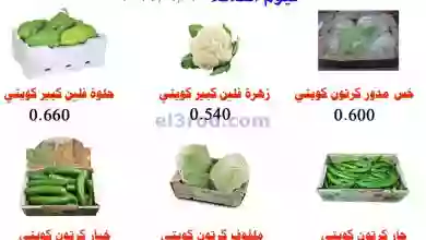 el3rod.com00001-429