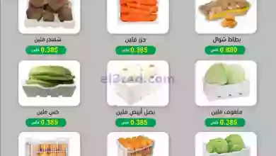 el3rod.com00001-442