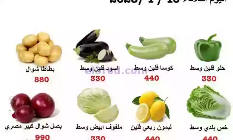 el3rod.com00001-446