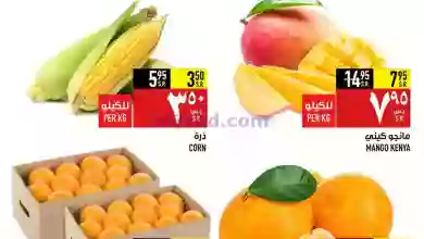 el3rod.com00001-561