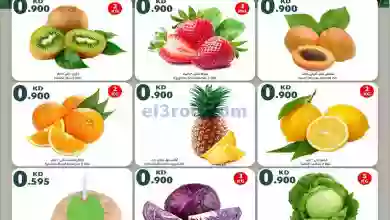el3rod.com00001-570