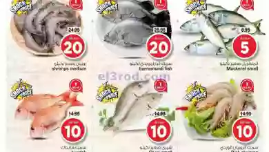 el3rod.com00001-702