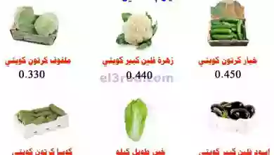 el3rod.com00001-728