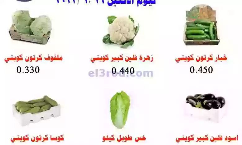 el3rod.com00001-728