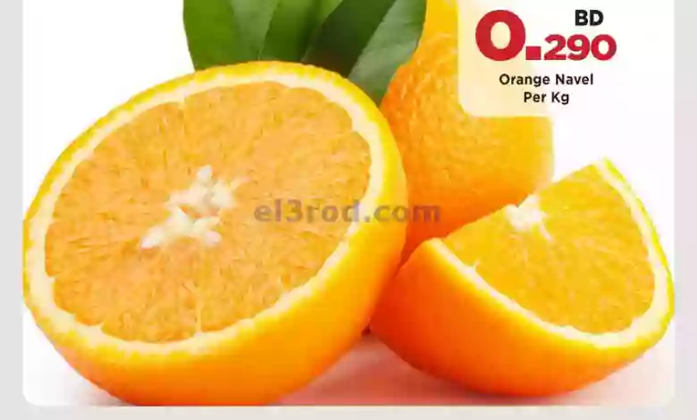 el3rod.com00001-784