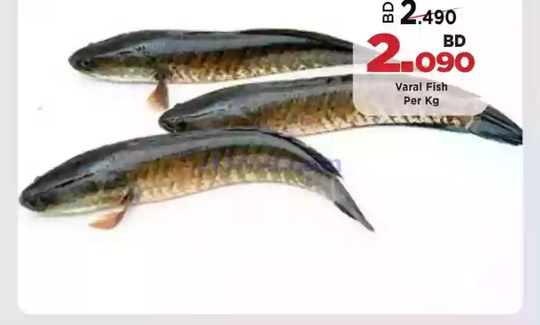 el3rod.com00001-841