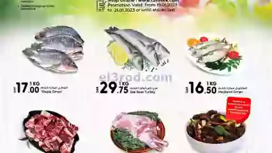 el3rod.com00001-871
